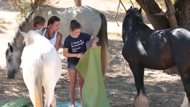 Cavalo, menina, fazenda, animal, criança, fazenda, natureza, verão, diversão, outono, bonito, outdoor, família, brincar, pouco, feliz, brincar, crianças, rural, pessoas, pasto, alimentação, fofa, campo, amor, animal de estimação, campo, amigosDuas meninas e uma menina cercada por cavalos — Vídeo de Stock