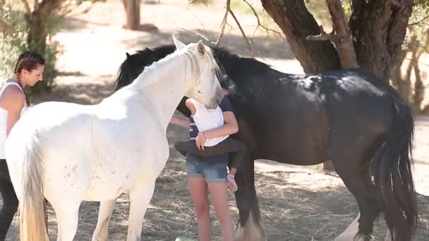 Paard, meisje, boerderij, dier, kind, ranch, natuur, zomer, fun, herfst, mooie, outdoor, familie, spelen, beetje, gelukkig, spelen, kinderen, landelijke, mensen, grasland, feed, schattig, veld, liefde, huisdier, platteland, friendstwo meisjes en een meisje omringd door paarden — Stockvideo