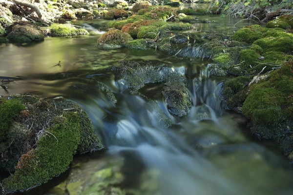 Wood River nyáron. — Stock Fotó