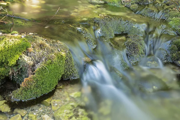 Río Wood en verano . —  Fotos de Stock