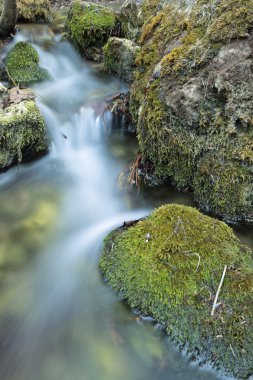 Yaz aylarında ahşap Nehri.