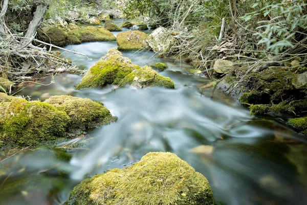 Río Wood en verano . —  Fotos de Stock