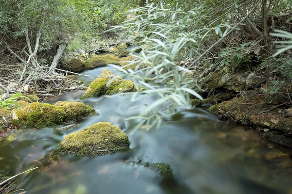 Río Wood en verano . —  Fotos de Stock