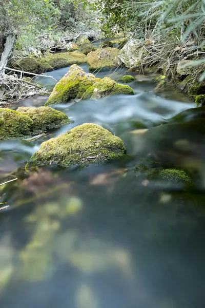 Río Wood en verano . —  Fotos de Stock