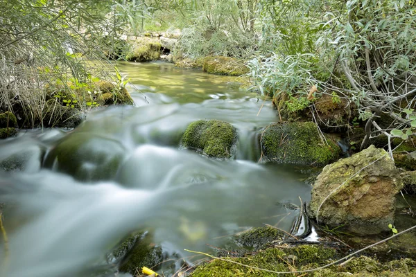 Río Wood en verano . —  Fotos de Stock