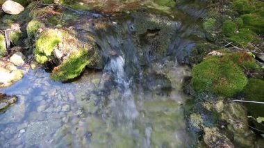 Yaz aylarında ahşap Nehri.