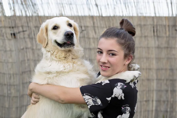 Raça cão Golden Retriever dando um abraço ao seu proprietário . — Fotografia de Stock