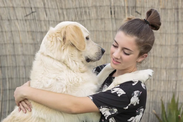 stock image Dog breed Golden Retriever giving a hug to his owner. 