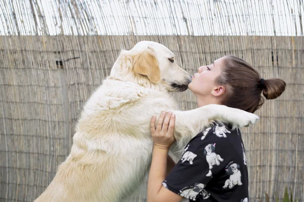 Chien de race Golden Retriever donner un câlin à son propriétaire . — Photo