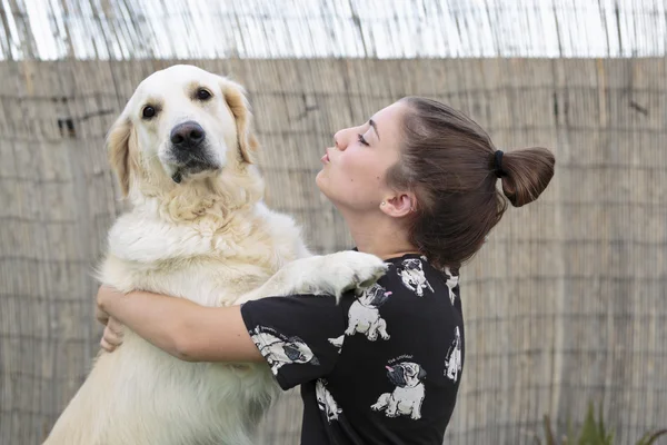 Raça cão Golden Retriever dando um abraço ao seu proprietário . — Fotografia de Stock