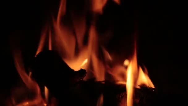 Plameny ohně v krbu. — Stock video