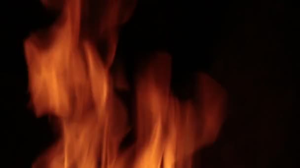 Flammes de feu dans une cheminée. — Video