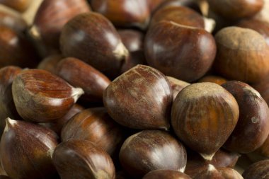 Kestane fotoğrafı yakın çekim.