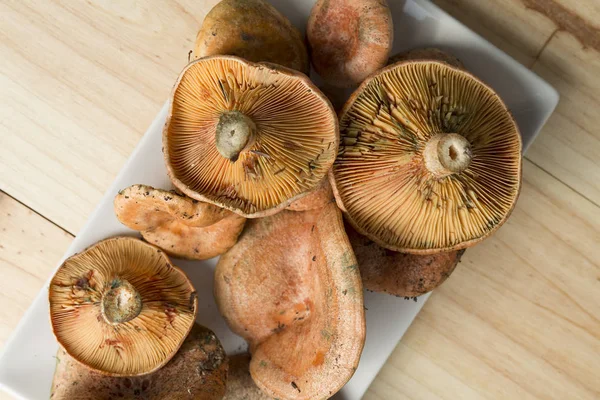 Mushrooms on a white . — Stock Photo, Image