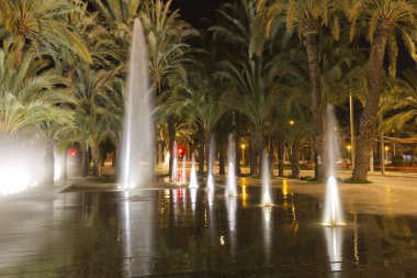 Elche İspanya kaynağıdır.