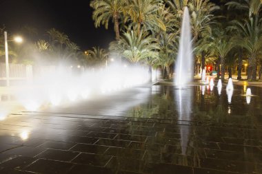Elche İspanya kaynağıdır.