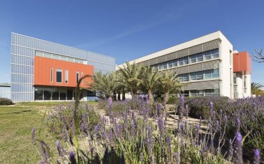 Elche Miguel Hernandez Üniversitesi için karşılık gelen yapı