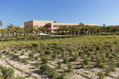Elche Miguel Hernandez Üniversitesi için karşılık gelen yapı