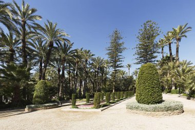Elche Belediye Parkı.