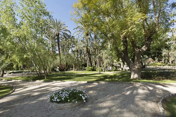 Parque Municipal de Elche . — Fotografia de Stock