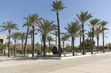 Elc Miguel Hernandez Üniversitesi için karşılık gelen yapı