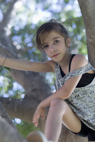 Κορίτσι αναρρίχηση ένα δέντρο για να τραβήξετε μια φωτογραφία — Φωτογραφία Αρχείου