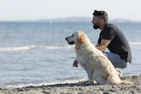 Hombre con su perro en una playa . —  Fotos de Stock
