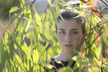 Bir ağaç yaprakları arasında bir adocent yüzü.