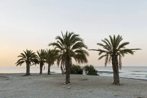 Torres Beach güneş doğarken görüntülemek — Stok fotoğraf