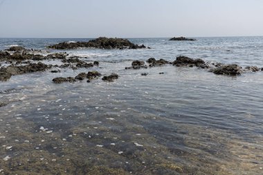 Yaz aylarında Tabarca ada manzara.