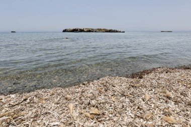 Yaz aylarında Tabarca ada manzara.