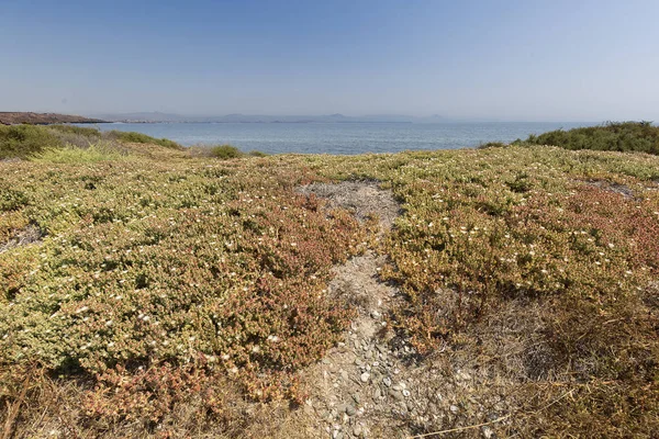 Yaz aylarında Tabarca ada manzara.