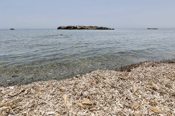 Yaz aylarında Tabarca ada manzara.