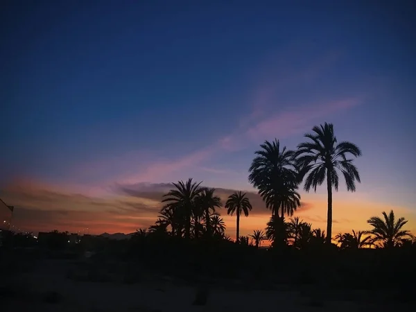 Táj egy naplemente Elche — Stock Fotó