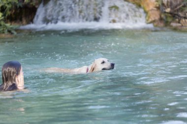 Onun köpeği ile gölde bir banyo genç. 