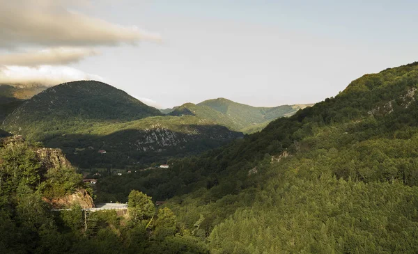 Navarra ormanda kayın.