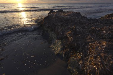 Santa Pola bir plajda gündoğumu