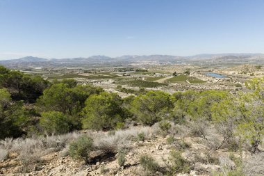 Kırsal Monforte, Aspe ve Novelda sayısı 