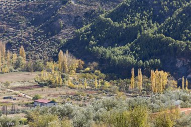 Landscape in the municipality of Bogarra  clipart