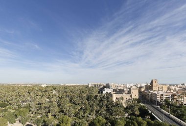 Elche şehir manzarası 