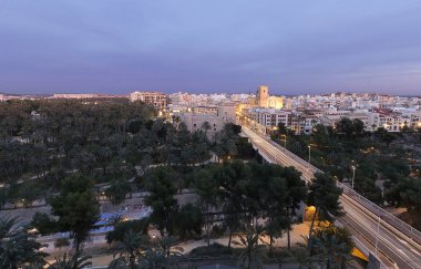 Palm grove önünde gün batımında Elche şehir manzarası. 