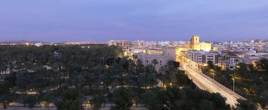 Palm grove önünde gün batımında Elche şehir manzarası. 