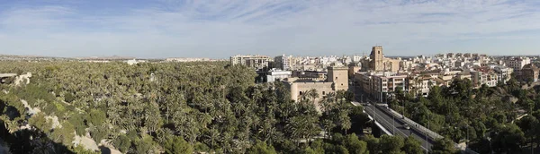 Elche şehrinin panoraması 