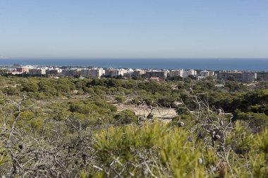 Elche Belediyesi, La Marina şehir manzarası.