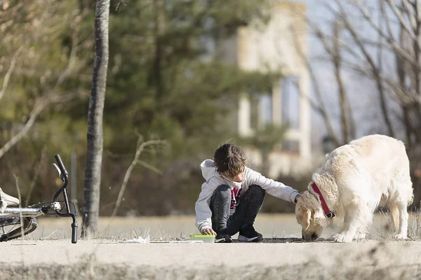 10 ans fille donnant de la nourriture à son chien en plein air . — Photo