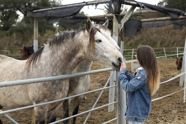 Молодая женщина, любящая некоторых лошадей . — стоковое фото