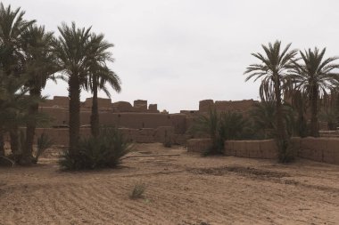 M 'Hamid El Ghizlane veya Lamhamid Ghozlane, Afrika kıtasında bulunan Zagora eyaletinde yer alan bir şehirdir..