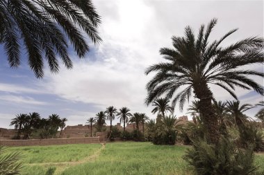 M 'Hamid El Ghizlane veya Lamhamid Ghozlane, Afrika kıtasında bulunan Zagora eyaletinin Dra-Tafilalet ilçesinde yer alan bir şehirdir..