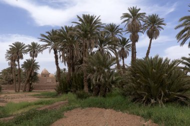 M 'Hamid El Ghizlane veya Lamhamid Ghozlane, Afrika kıtasında bulunan Zagora eyaletinin Dra-Tafilalet ilçesinde yer alan bir şehirdir..