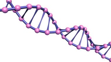 Beyaz arka plan üzerinde izole stilize dna zinciri. Döngü sorunsuz döndürme.